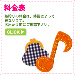 料金表　苺狩りの料金は、時期によって異なります。お出かけ前にご確認下さい。