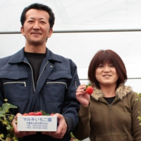 マルキ苺園園主