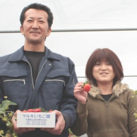 マルキ苺園園主