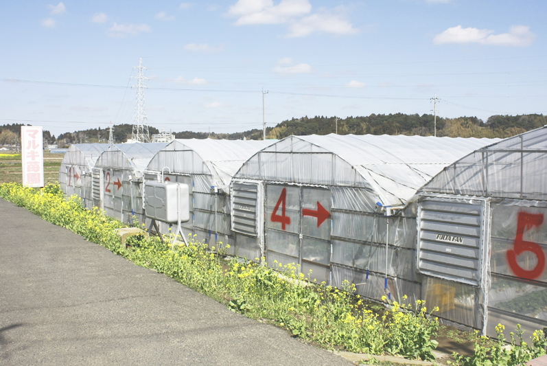 広々した景色の中の土耕ハウスでのんびりしてください