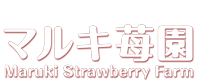 山武市成東 マルキ苺園