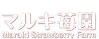 山武市成東 マルキ苺園