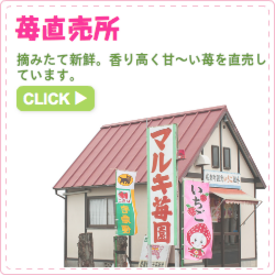 苺直売所 摘みたて新鮮。香り高く甘〜い苺を直売しています。