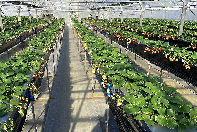 トを敷いて通りやすくなっています