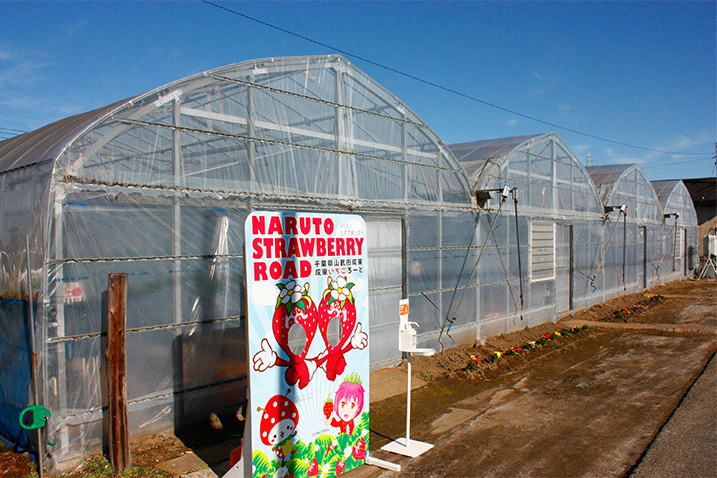 高設の苺狩りハウス