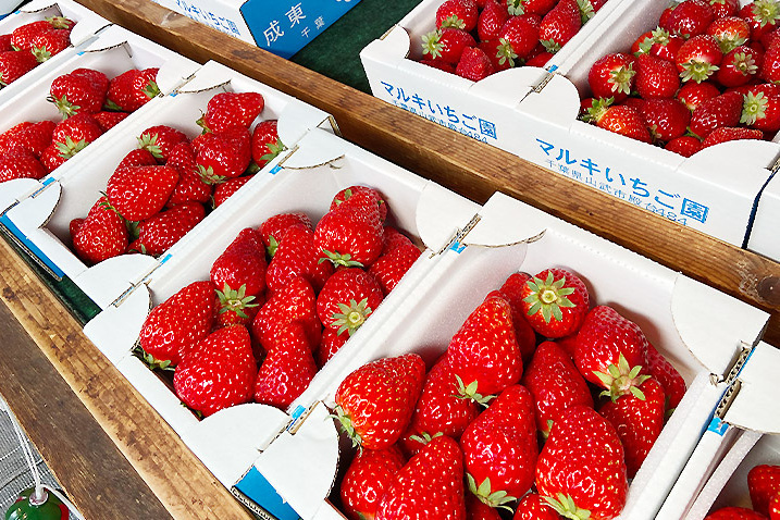 おいCベリーなど販売